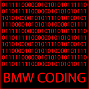 Image of binary representing BMW coding